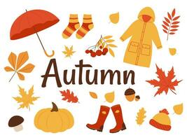 vector reeks van herfst illustraties. elementen voor kaart, stickers, ontwerp