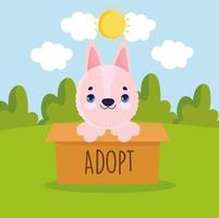 adoptie hond in doos vector