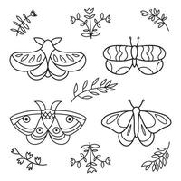 schattig hand- getrokken vlinder. vector doodled elementen voor decoratie en patroon