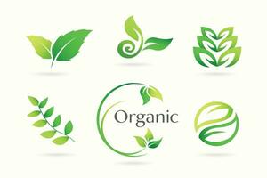 groen blad tuin, botanisch en biologisch logo set. vector