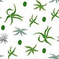 schattig patroon met cactussen en vetplanten Aan wit in hand- getrokken stijl vector