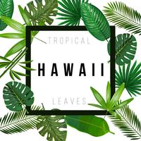 Tropische bladeren op witte achtergrond met geïsoleerde teken Hawaï vector