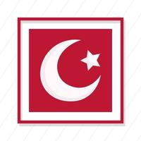 turkije republiek dag, vierkante vlag patriottisme embleem op witte lijnen achtergrond vector