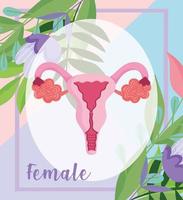 vrouwelijk menselijk voortplantingssysteem, orgaan van de baarmoeder met bloemen vector