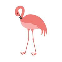 roze flamingo tekenfilm illustratie geïsoleerd in wit achtergrond. zomer dier illustratie vector