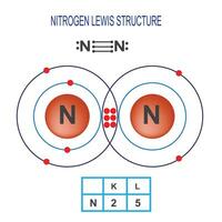 stikstof lewis structuur vector