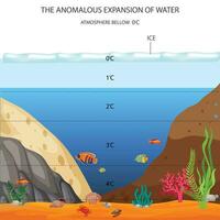 abnormaal uitbreiding van water. vector