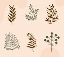 esthetische planten set vector