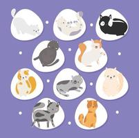 schattige katten set vector