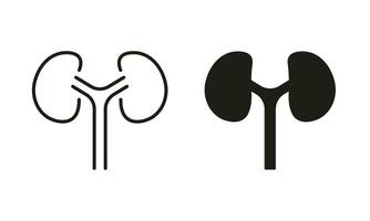 nieren urologie ziekte, dialyse medisch behandeling symbool verzameling. menselijk nier lijn en silhouet icoon set. anatomie van nier- orgaan pictogram. geïsoleerd vector illustratie.