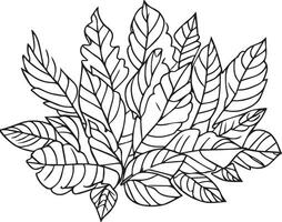 Hallo, september herfst vallen vector kunst hand getekend illustratie, natuurlijk blad verzameling, potlood schetsen kleur boek, en bladzijde. botanisch blad vector illustratie herfst vallend bladeren schetsen