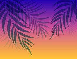 beautifil palmboom blad silhouet achtergrond vectorillustratie vector