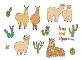 schattig lama, alpaca en cactussen set. hand- getrokken kleurrijk vector illustratie