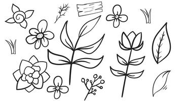 hand- getrokken bloemen en bladeren schetsen vector ontwerp