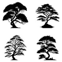 reeks van banyan bomen silhouetten. groot boom zwart silhouet, mooi boom vector