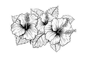 hibiscus bloemen in een wijnoogst houtsnede gegraveerde etsen stijl. vector illustratie.