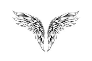 engel Vleugels inkt schetsen in gravure stijl. hand- getrokken spatborden vector illustratie.