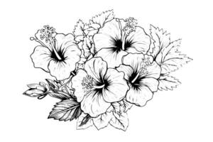 hibiscus bloemen in een wijnoogst houtsnede gegraveerde etsen stijl. vector illustratie.