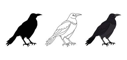 zwart kraai of raaf. contour, silhouet, kraai in kleur. vector geïsoleerd Aan wit. wild vogel. een huisdier. tekenfilm stijl. insigne, icoon, embleem, textiel, afdrukken, huisdier winkel, dier schuilplaats, dierentuin, kleur boek