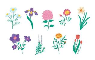 tekenfilm kleur botanisch reeks van tuin bloemen planten. vector