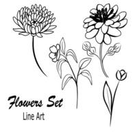 hand- getrokken bloem verzameling. chrysant, tulp, dahlia, roos lijn tekening vector