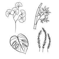 tropisch bladeren verzameling reeks vector