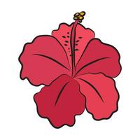 hibiscus groot rood bloem knop. botanisch decor voor kaarten en uitnodigingen vector