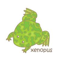 alfabet X voor xenopus woordenschat school- les lezing tekenfilm illustratie vector clip art sticker