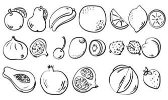 reeks van schets fruit in tekening stijl, contour geheel en gesneden fruit vector