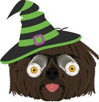 halloween groet kaart. puli hond gekleed net zo een heks met zwart en groen hoed en bril met angstaanjagend googlen ogen vector