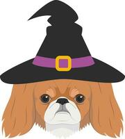 halloween groet kaart. pekingese hond gekleed net zo een heks met zwart hoed vector