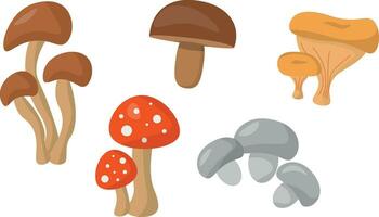 paddestoel set, champignons in vlak stijl, geïsoleerd Aan wit achtergrond, Hallo herfst vector