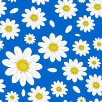 wild kamille bloemen Aan een blauw achtergrond creëren een naadloos zomer patroon met groot wit bloemen voor textiel. vector. vector