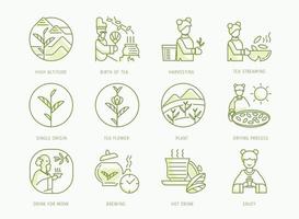 geboorte van chinese thee iconen set vector