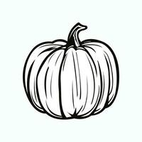 pompoen lijn icoon. oogst symbool, logo. halloween concept. geïsoleerd vector illustratie.