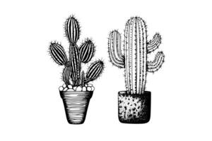 reeks van cactussen hand- getrokken inkt schetsen. gravure stijl vector illustratie.