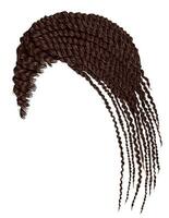 modieus Afrikaanse haar- cornrows.vlechten.bruin brunette. vector