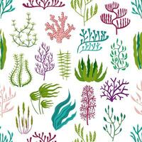 onderwater- zeewier planten, aquarium algen patroon vector