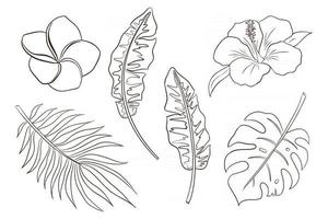 lijntekeningen tropische bloemen en bladeren vector geïsoleerde items collectie