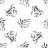 hand- getrokken vlinder naadloos patroon. monochroom insecten tekening. zwart en wit wijnoogst elementen. vector schetsen. gedetailleerd retro stijl.