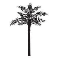 palmboom blad silhouet vector