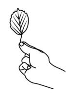 hand- Holding vallen blad herfst illustratie vector