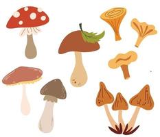 set van verschillende paddestoelen. soorten herfstpaddestoelen, eekhoorntjesbrood, cantharel, honingzwam, oesterzwammen, vliegenzwam. ontwerpelementen voor ansichtkaarten, banners, uitnodigingen, zaken. vectorillustratie. vector