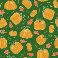 patroon pompoen, bladeren. reeks van groenten, herfst bladeren, pompoen tekeningen. schets tekening, krabbels. oogst, voedsel. herfst seizoen. vakantie decor halloween, dankzegging. vector naadloos patroon.