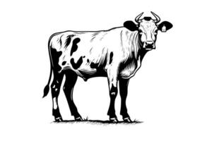 alpine koe vector hand- getrokken gravure stijl illustratie