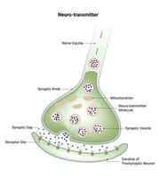 neurotransmitter vector ontwerp illustratie