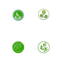 set moringa blad logo sjabloon vector symbool natuur