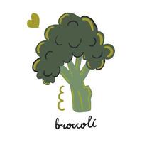 handgetekende broccoli. moderne vlakke afbeelding. vector
