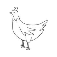 vector illustratie van een kip in tekening stijl.