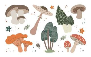 reeks van verschillend Woud champignons en bladeren. modern botanisch vlak vector illustraties geïsoleerd Aan wit achtergrond.